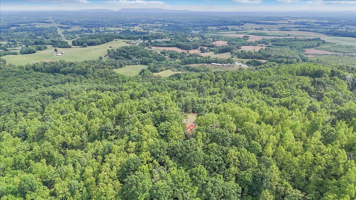 1466 Oak Ridge Farm Road Moneta, VA 24121 - Photo 61 of 66 59-DJI_20250515155700_0037_D
