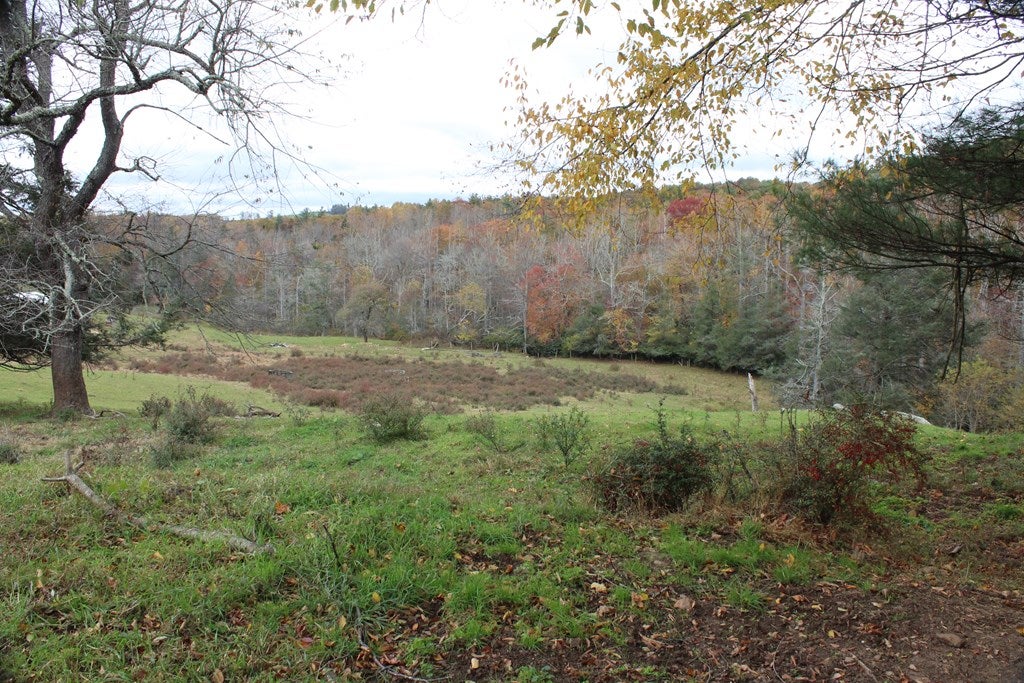 Tbd Terry's Mill Road, Unit 121A61 Laurel Fork, VA 24352 - Photo 22 of 71 Gallery Image 22