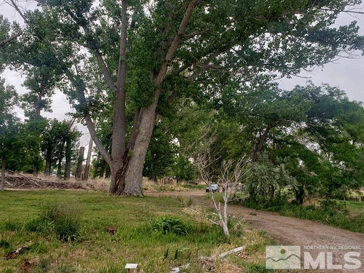 1610 Shoffner Lane Fallon, NV 89406 - Photo 10 of 15 Photo 10