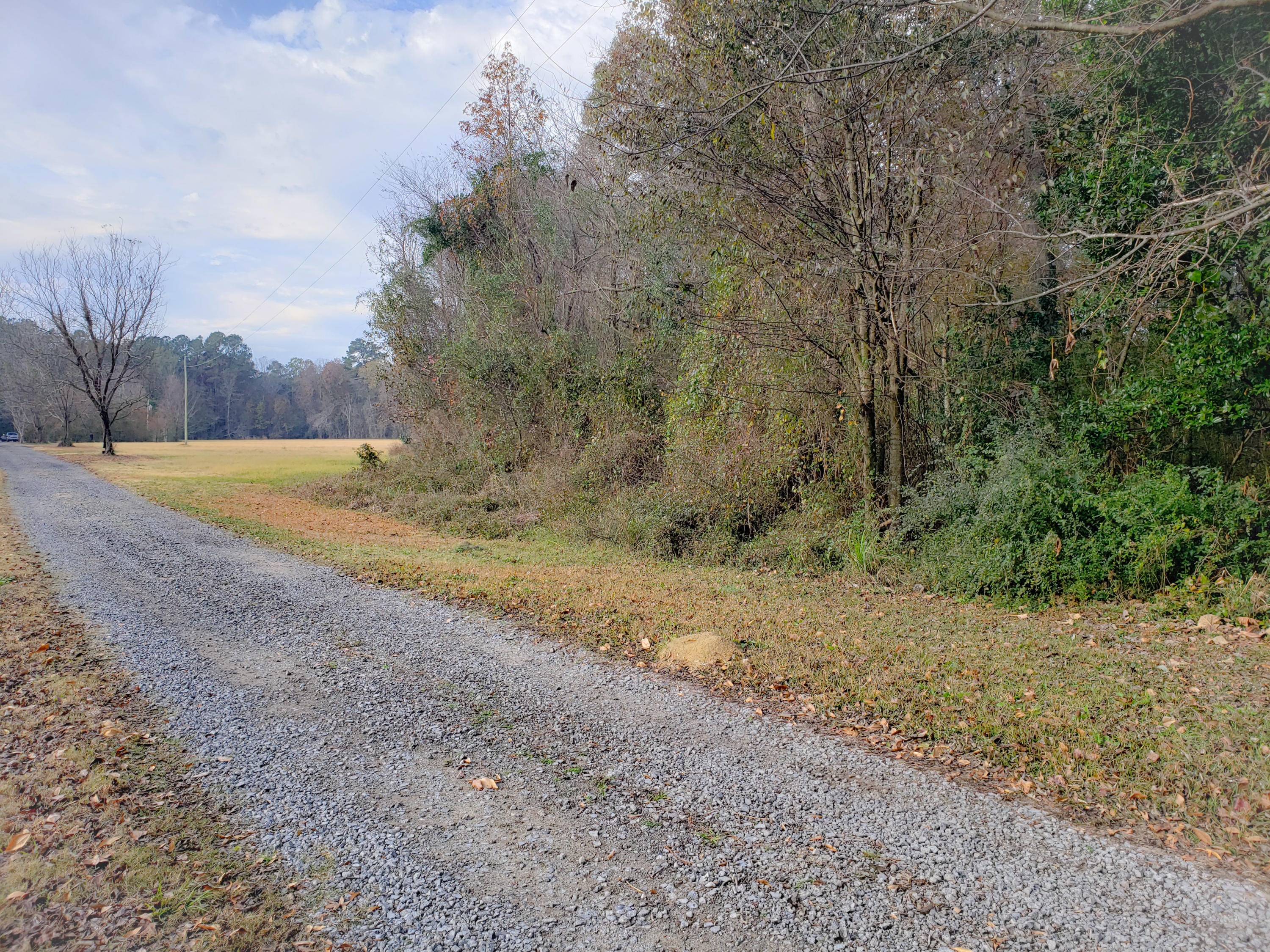 PSX_20201212_110619[1]