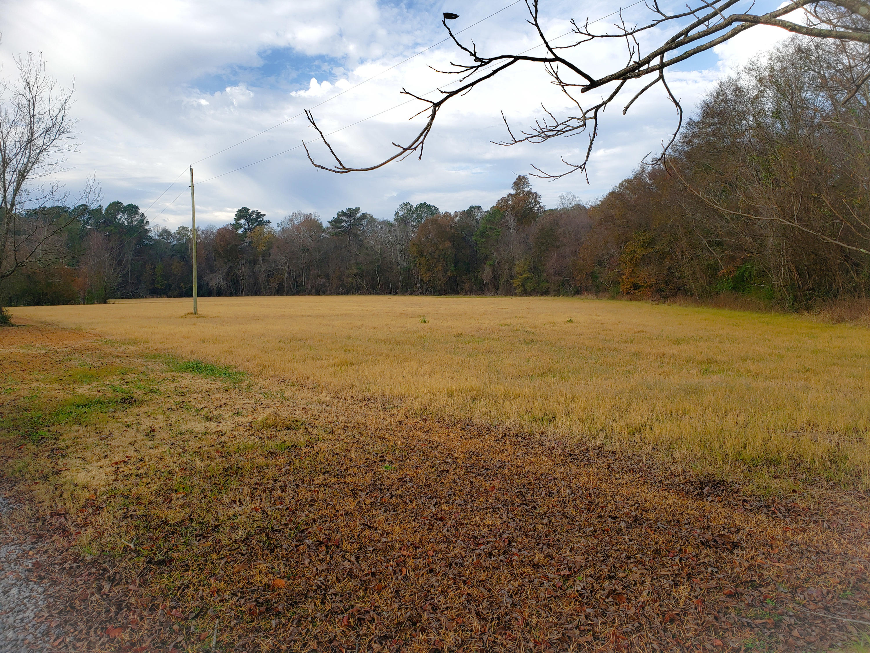 PSX_20201212_111328[1]