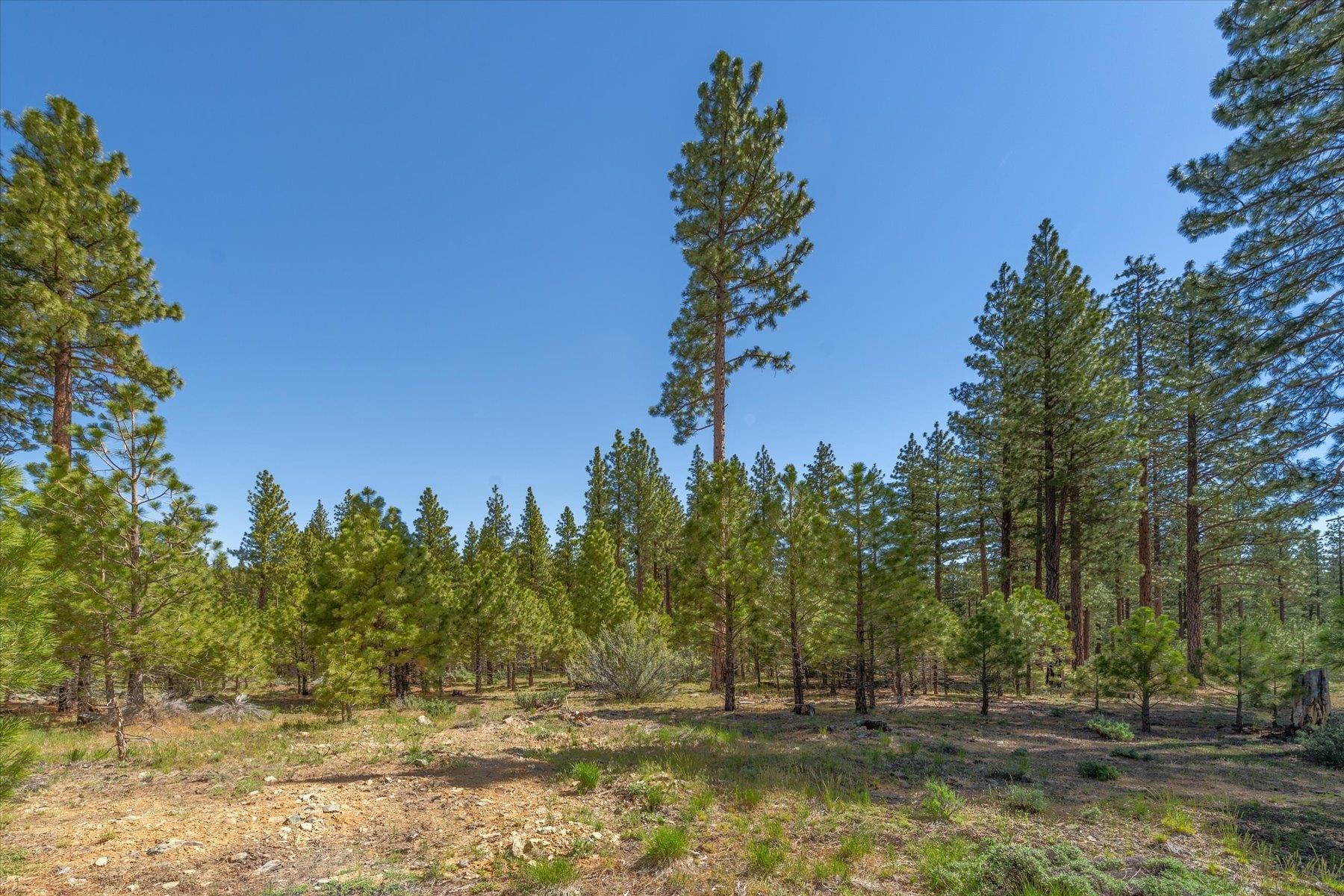 Feenune Road Loyalton, CA 96118 - Photo 22 of 28