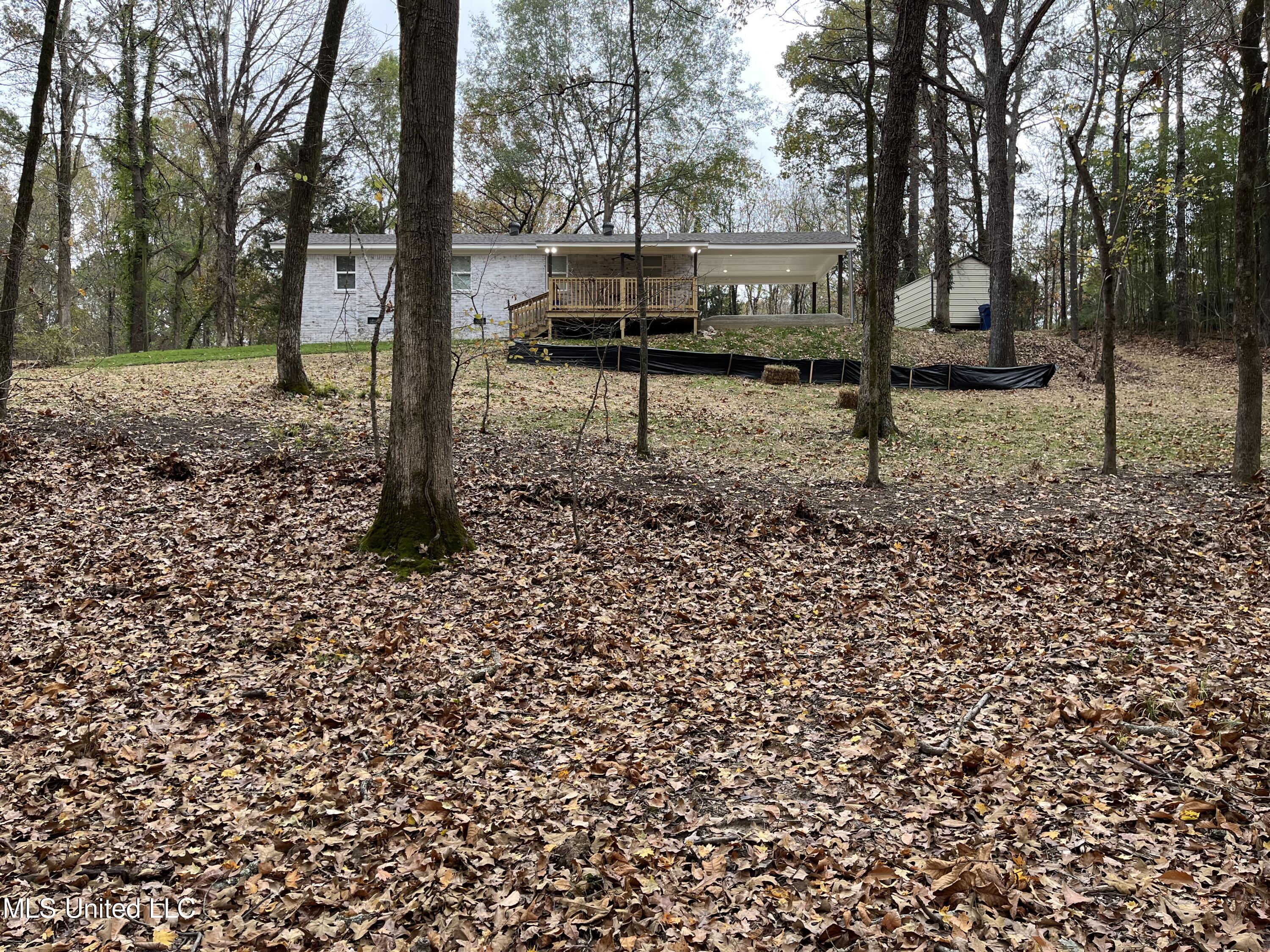 3777 Spring Port Road Sardis, MS 38666 - Photo 8 of 56 IMG_6619