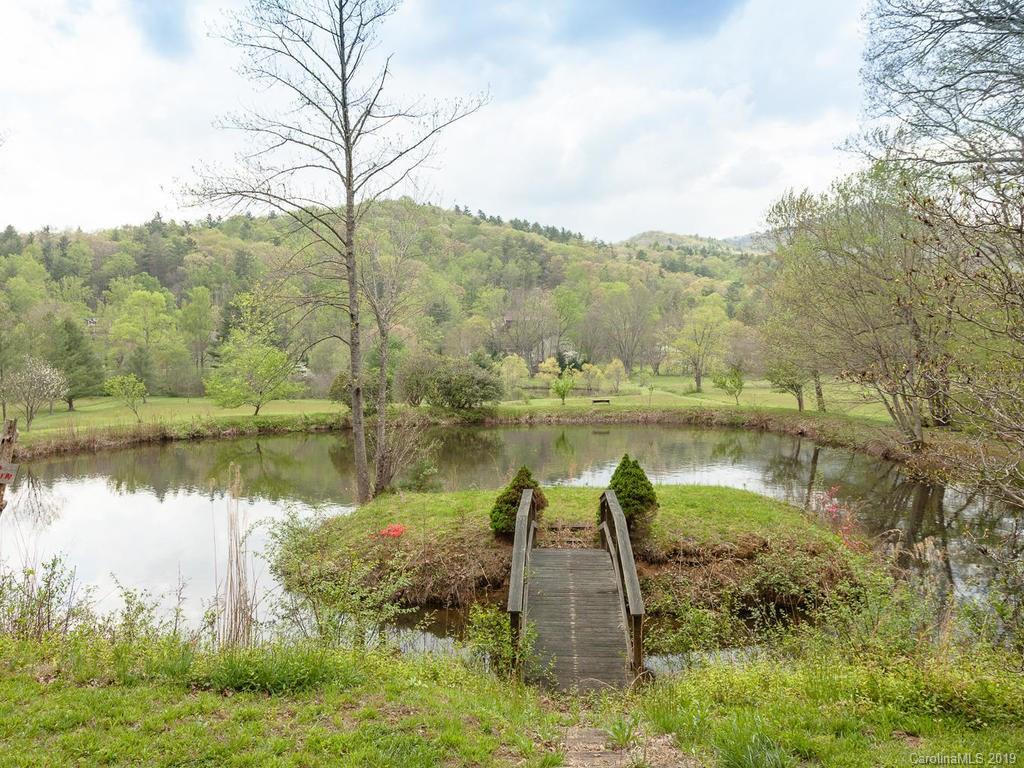 2349 Riceville Road Asheville, NC 28805 - Photo 4 of 44 Gallery Image 4