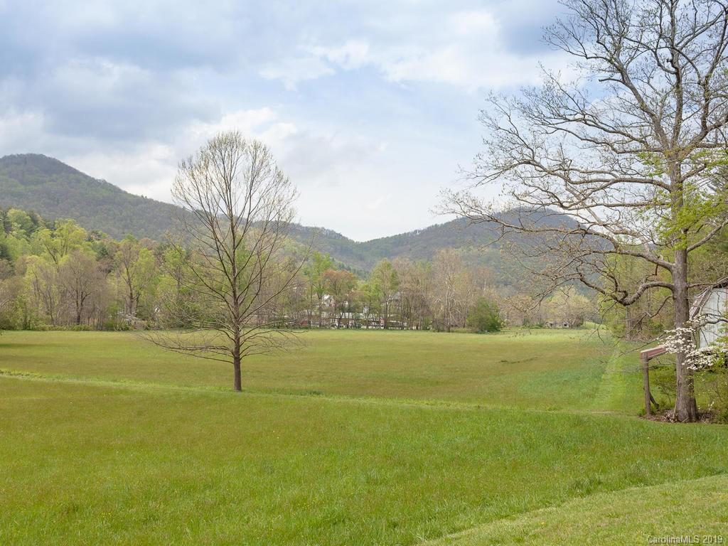 2349 Riceville Road Asheville, NC 28805 - Photo 41 of 44 Gallery Image 41