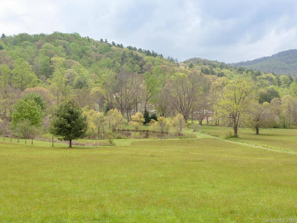 2349 Riceville Road Asheville, NC 28805 - Photo 42 of 44 Gallery Image 42