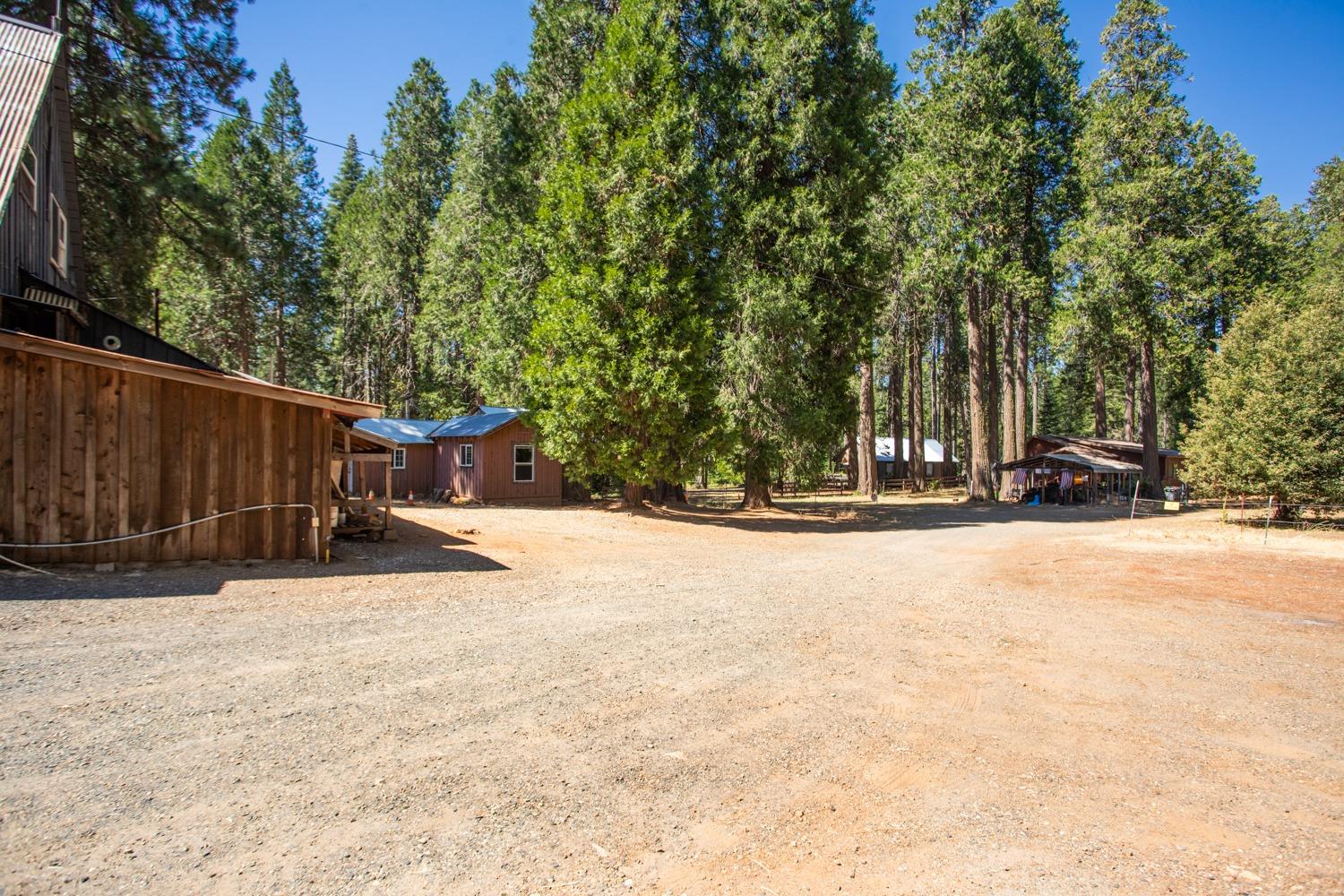 12225 La Porte Road Clipper Mills, CA 95930 - Photo 49 of 56