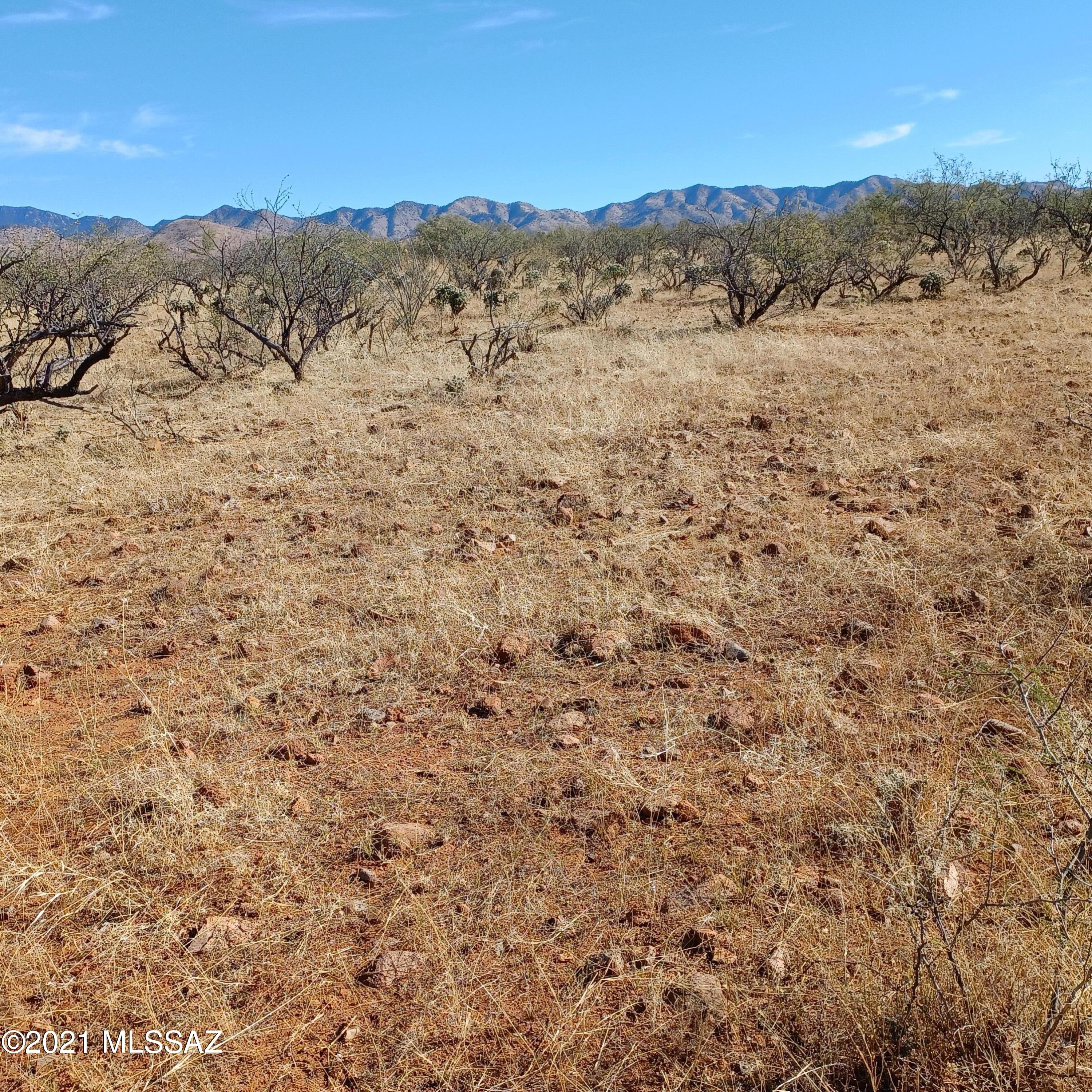 209 Camino Kennedy, Unit 55C Rio Rico, AZ 85648 - Photo 6 of 10