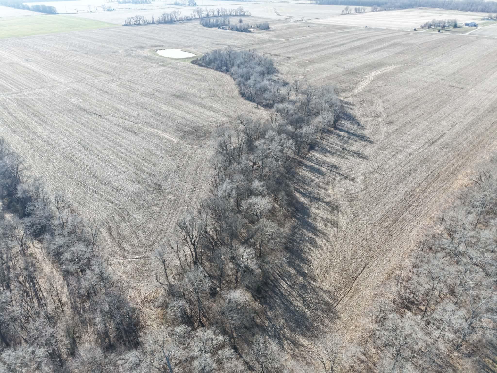 0 East County Road, Unit 950 McLeansboro, IL 62859 - Photo 4 of 5 a close up of a tree