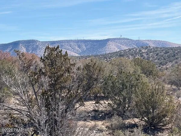 a view of a lush green field with lots of bushes