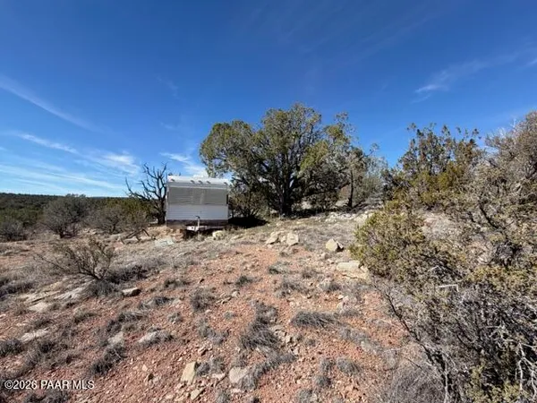 a view of a dry yard with trees