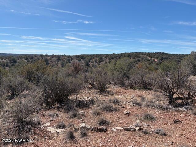 56800 Bearclaw Road Seligman, AZ 86337 - Photo 15 of 20 IMG_0688