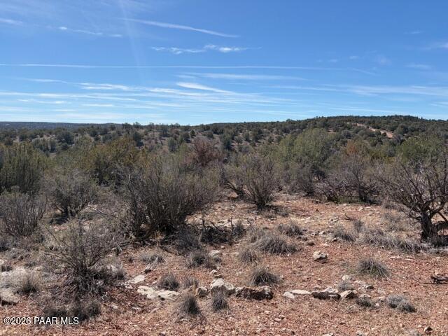 56800 Bearclaw Road Seligman, AZ 86337 - Photo 16 of 20 IMG_0689