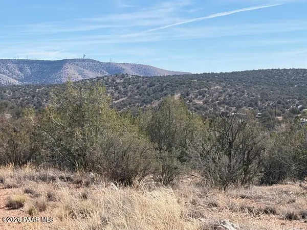 a view of a dry yard with mountains in the background