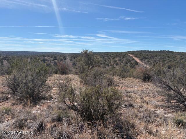 56800 Bearclaw Road Seligman, AZ 86337 - Photo 3 of 20 IMG_0673