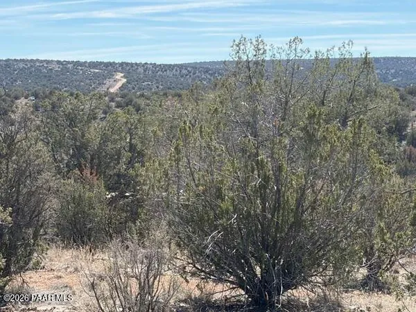 a view of a dry yard