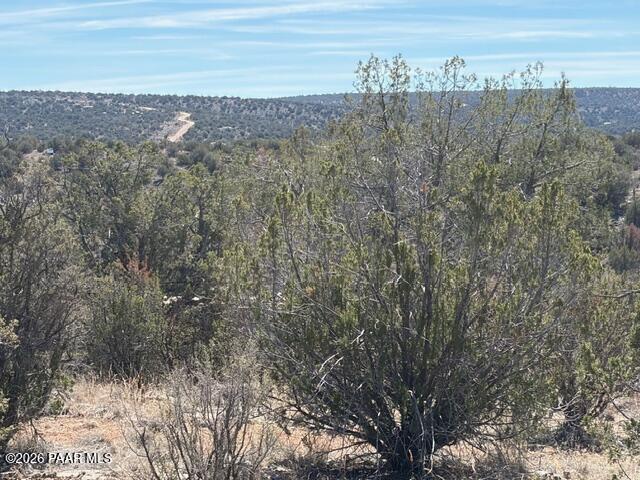 56800 Bearclaw Road Seligman, AZ 86337 - Photo 6 of 20 IMG_0677