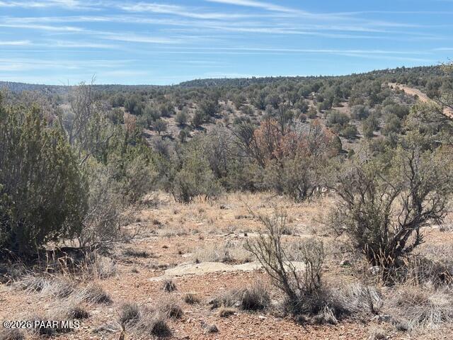 56800 Bearclaw Road Seligman, AZ 86337 - Photo 7 of 20 IMG_0678