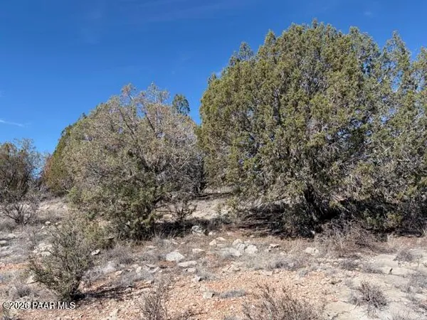 a view of a large yard with lots of bushes