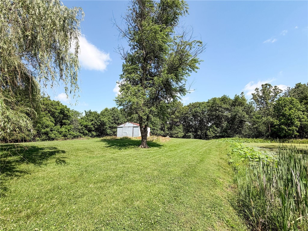 16144 Spiketown Road Marshall, IL 62441 - Photo 46 of 48