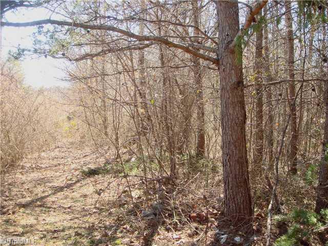 0 Canterberry Farm Road Westfield, NC 27053 - Photo 1 of 3 Land/Lot.