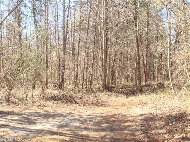 0 Canterberry Farm Road Westfield, NC 27053 - Photo 3 of 3 Land/Lot.
