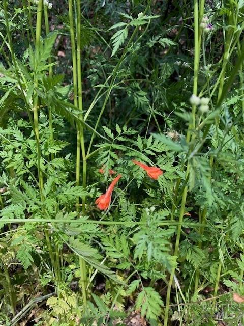 7781 Mill Creek Road Healdsburg, CA 95448 - Photo 19 of 21