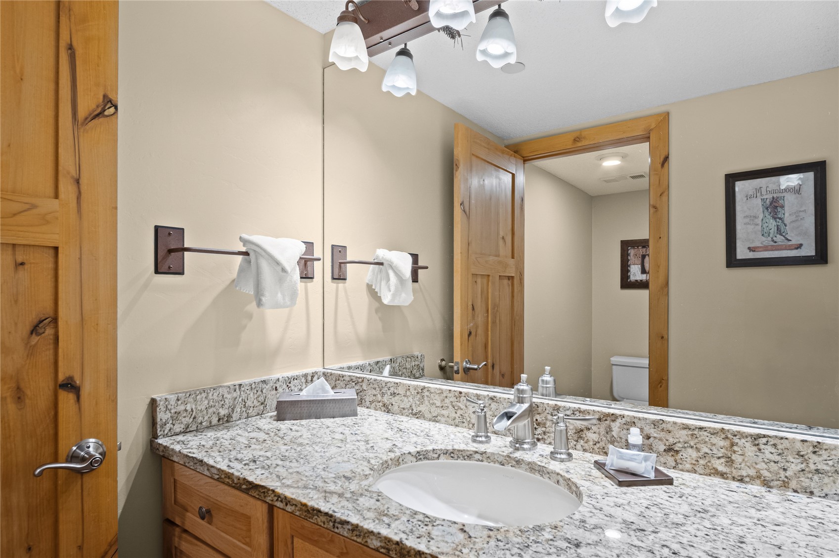 640 Village Road, Unit 4420 Breckenridge, CO 80424 - Photo 20 of 47 Bathroom