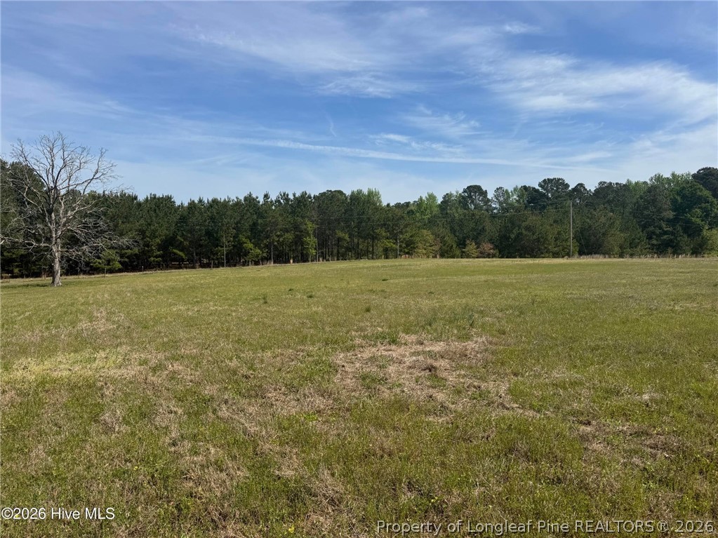 490 Springhill Church Road Hamlet, NC 28345 - Photo 36 of 49 Gallery Image 36