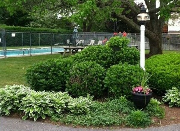 405 Lower County Road, Unit 21 Harwich, MA 02646 - Photo 9 of 10