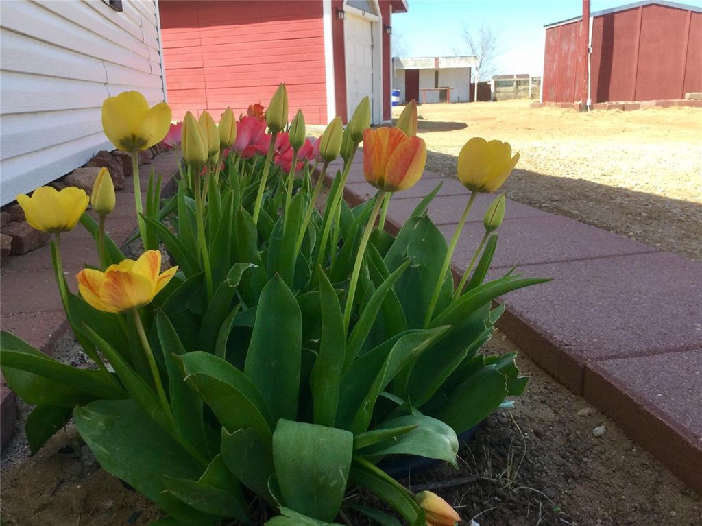 7950 South Rush Road Rush, CO 80833 - Photo 3 of 36