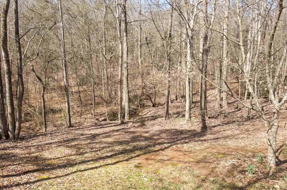 703 West Quincy Road Seneca, SC 29678 - Photo 36 of 36 Gallery Image 36