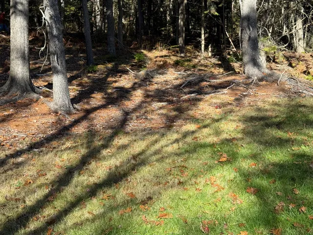 $295,000 | 69 McFarland Shore Road, Bristol, ME 04554