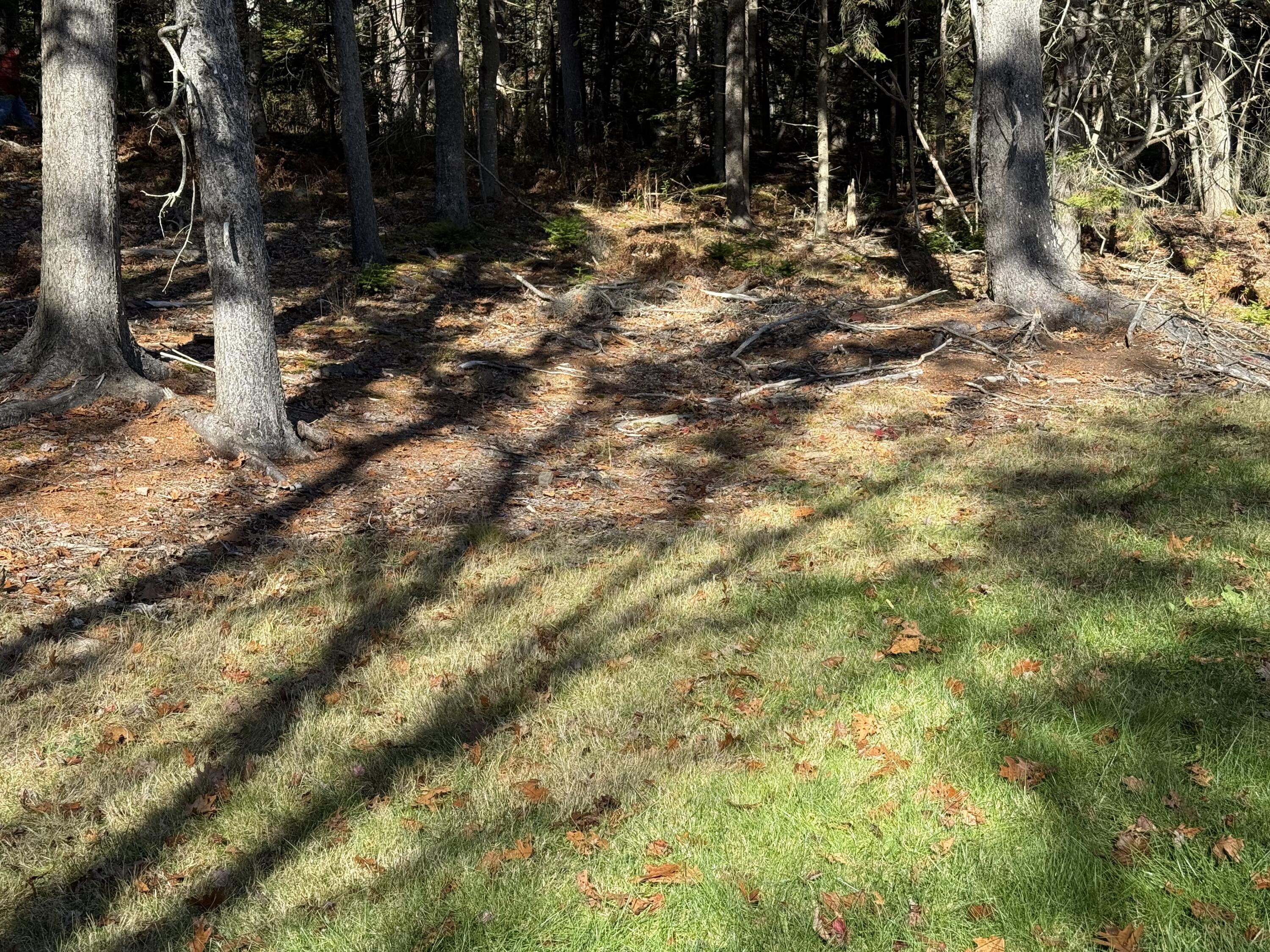 69 McFarland Shore Road Bristol, ME 04554 - Photo 3 of 5 IMG_3293