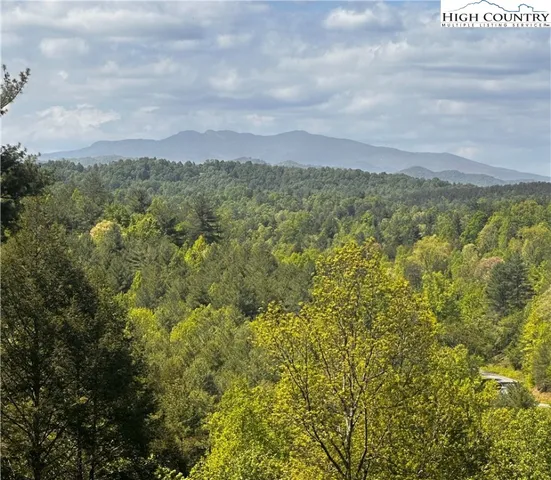 a view of a bunch of trees