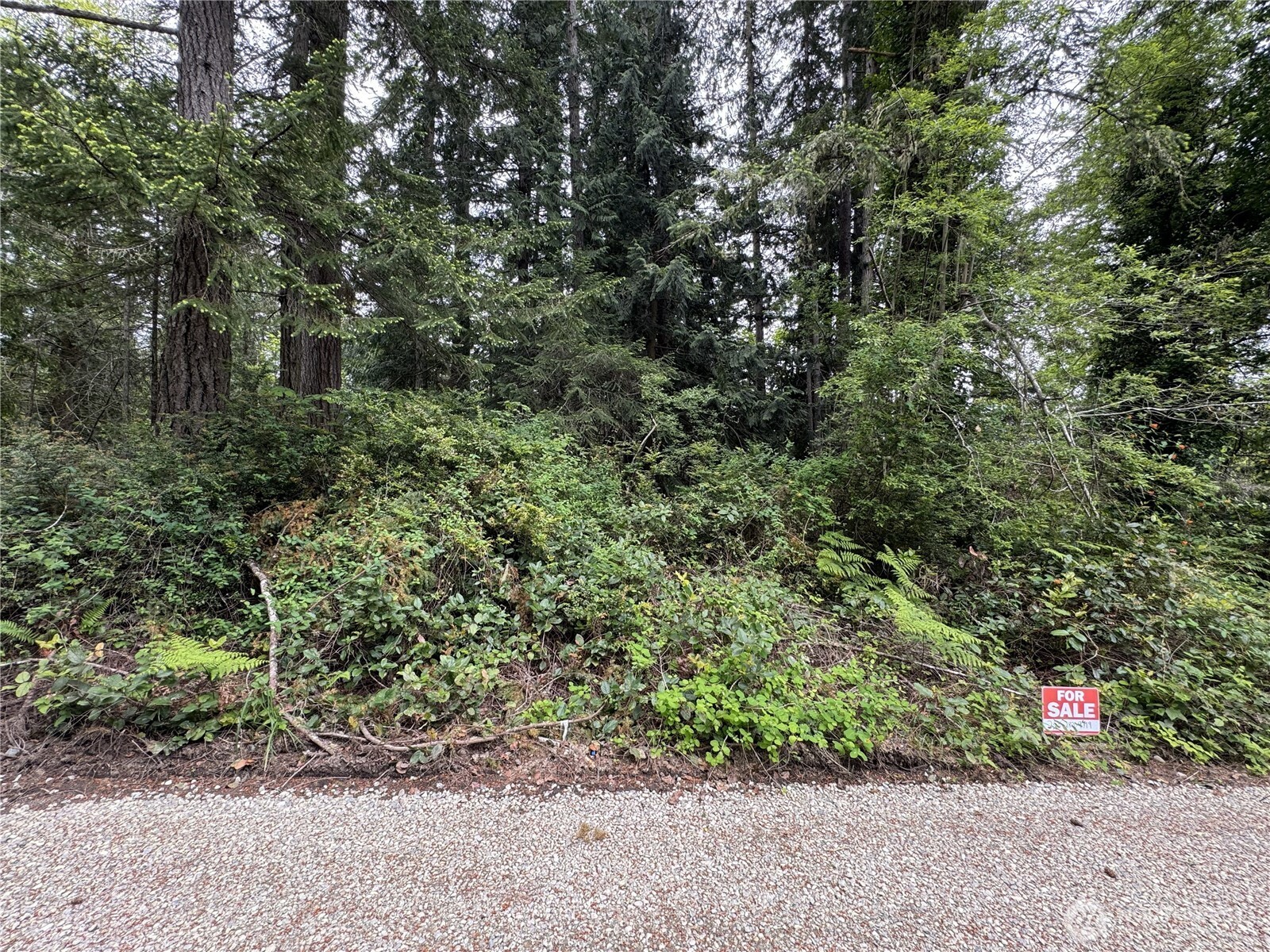0 Moose Road Quilcene, WA 98376 - Photo 1 of 9