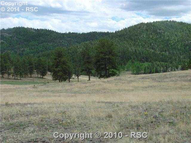 174 Park Ridge Drive Guffey, CO 80820 - Photo 5 of 12 Gallery Image 5