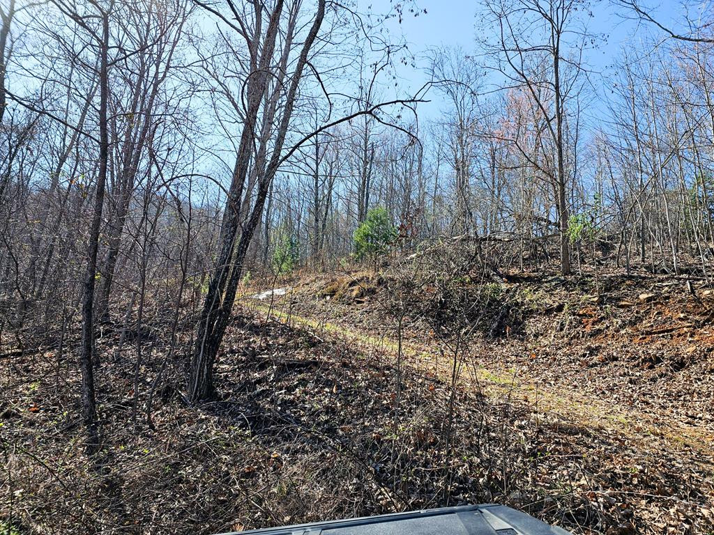 Lot 39 Merlin Trail Murphy, NC 28906 - Photo 9 of 21