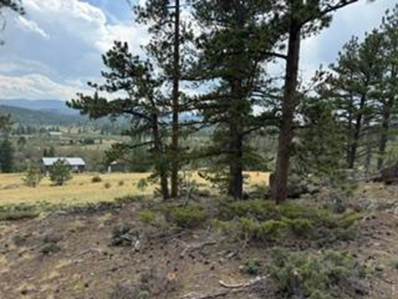 191 Cimarron Road Red Feather Lakes, CO 80545 - Photo 21 of 22 Gallery Image 21