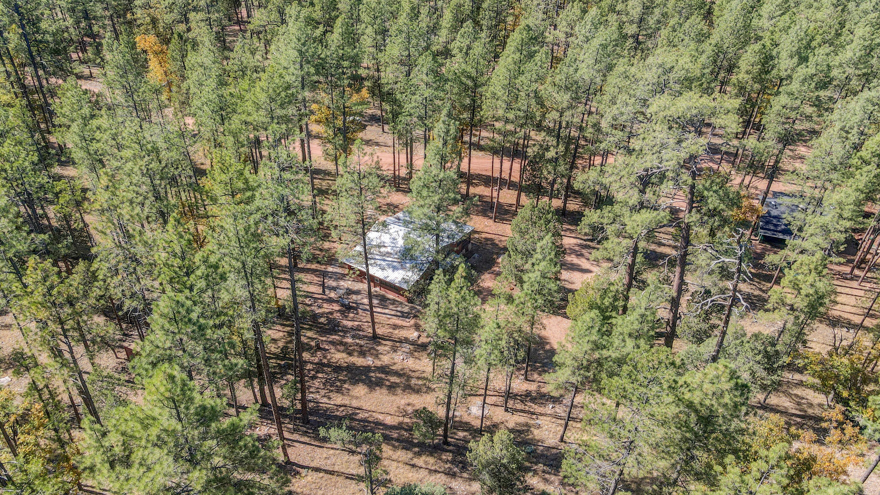 383 West Diamond Road Payson, AZ 85541 - Photo 30 of 32 mls-dji_fly_20241028_121550_238_17302422