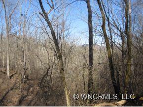 686 Logan Ridge Road Marshall, NC 28753 - Photo 2 of 12