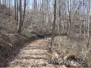 686 Logan Ridge Road Marshall, NC 28753 - Photo 7 of 12