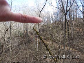 686 Logan Ridge Road Marshall, NC 28753 - Photo 8 of 12