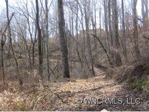 686 Logan Ridge Road Marshall, NC 28753 - Photo 10 of 12