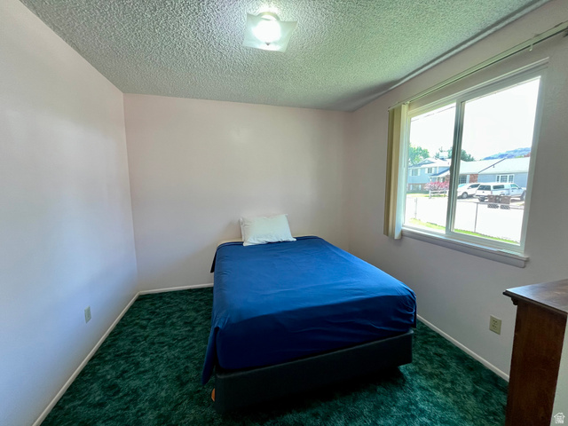 658 Bartlett Avenue Moab, UT 84532 - Photo 16 of 35