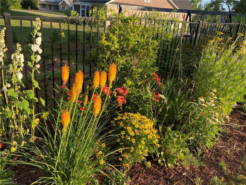 5578 Salem View Road Pfafftown, NC 27040 - Photo 46 of 48 Garden in bloom