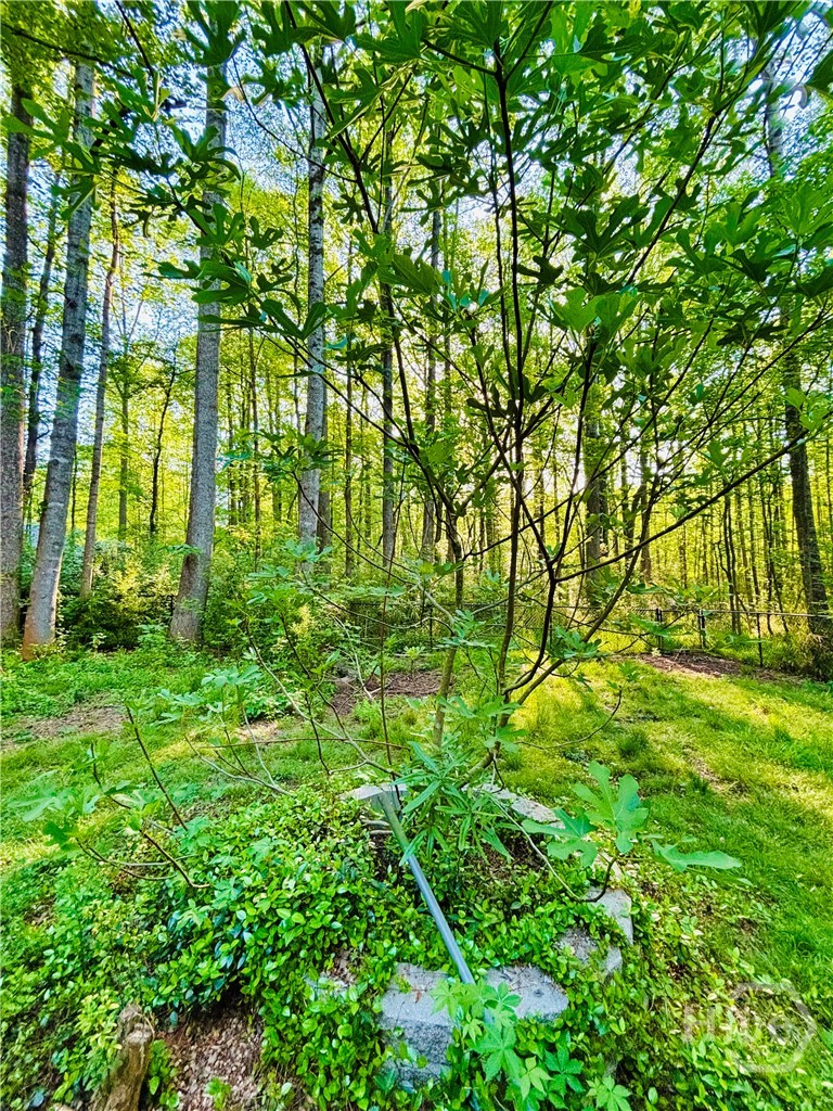135 Brookstone Place Athens, GA 30605 - Photo 22 of 24