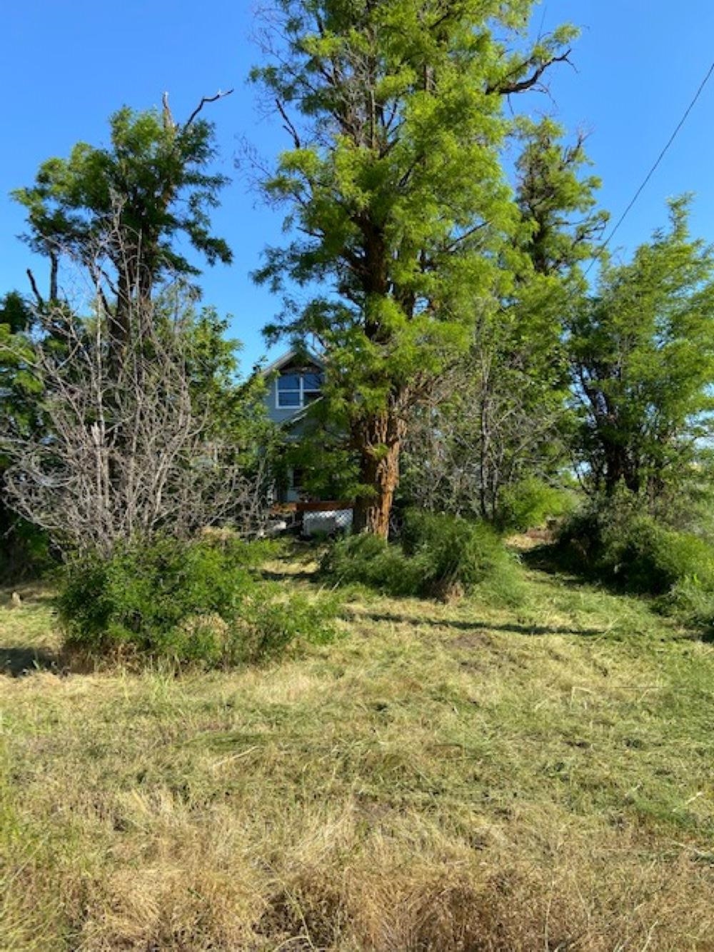 52681 Blomgren Road East Edwall, WA 99008 - Photo 12 of 50