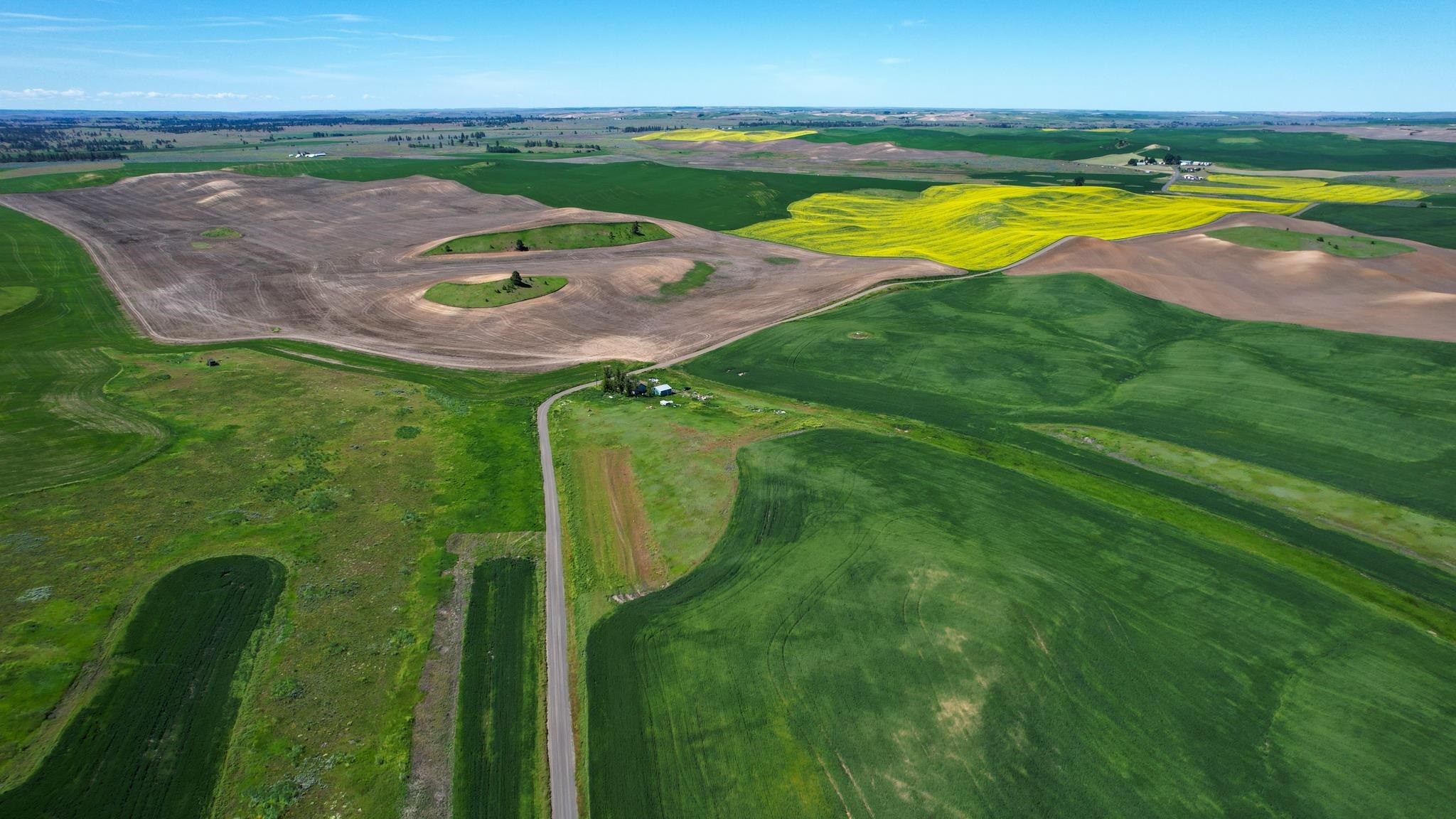 52681 Blomgren Road East Edwall, WA 99008 - Photo 40 of 50