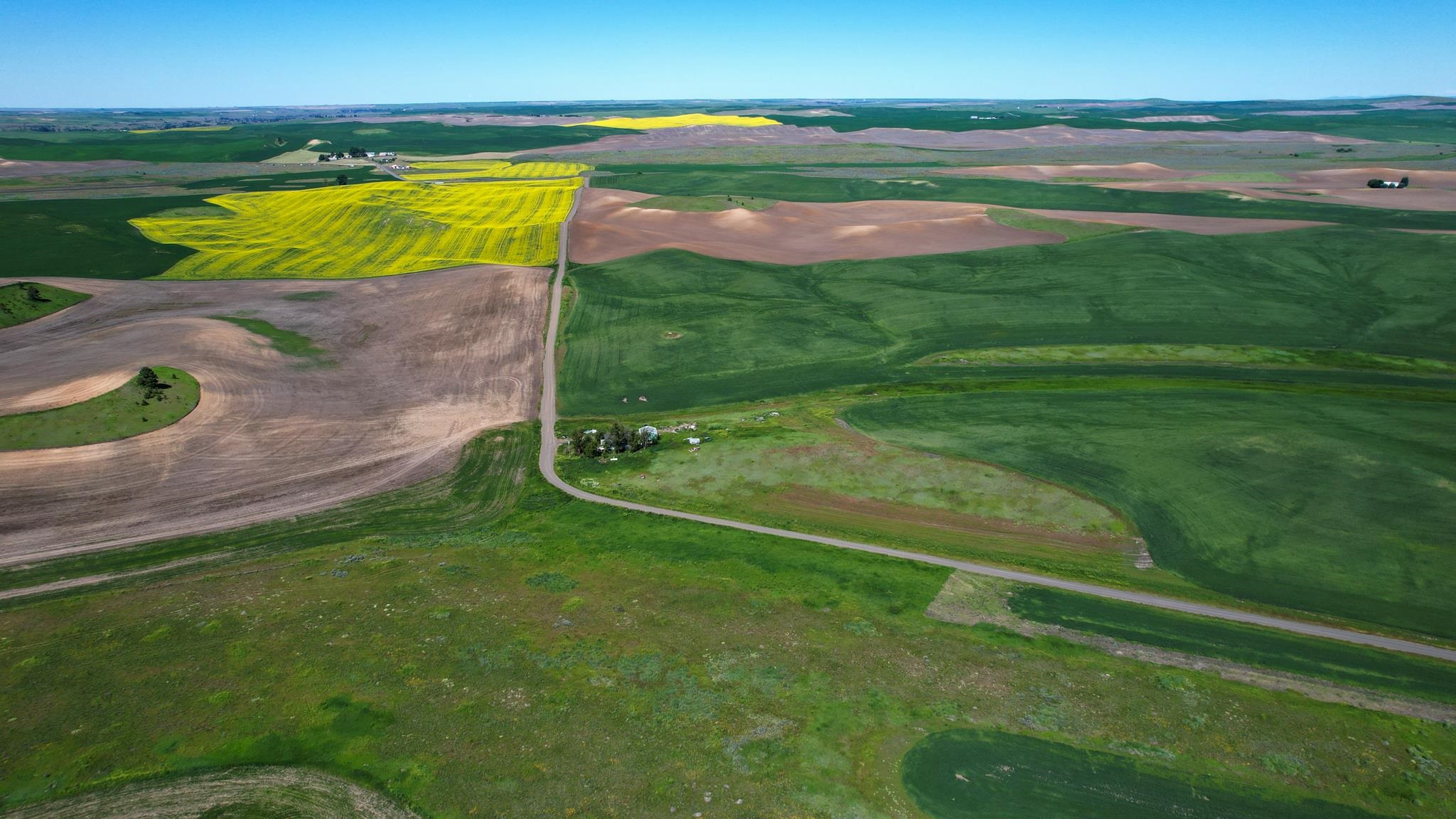 52681 Blomgren Road East Edwall, WA 99008 - Photo 46 of 50